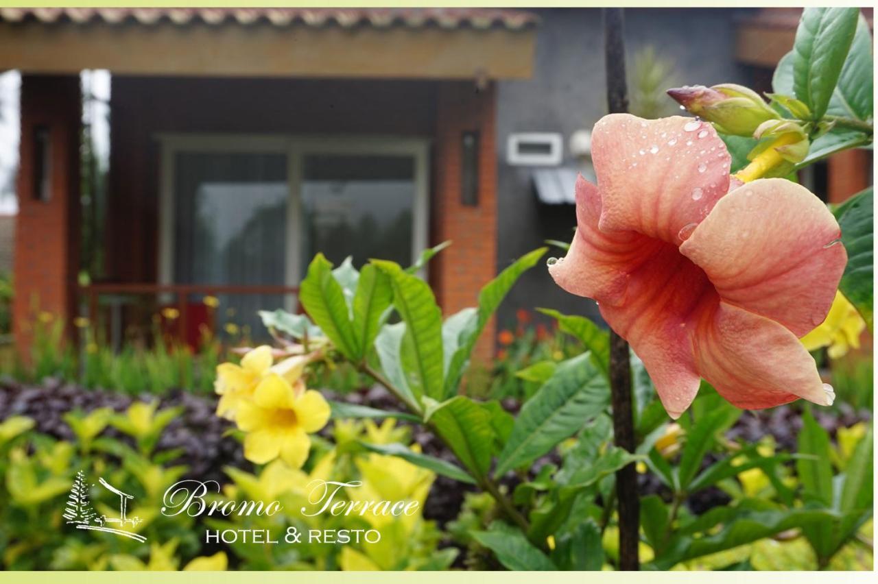 Bromo Terrace Hotel Экстерьер фото
