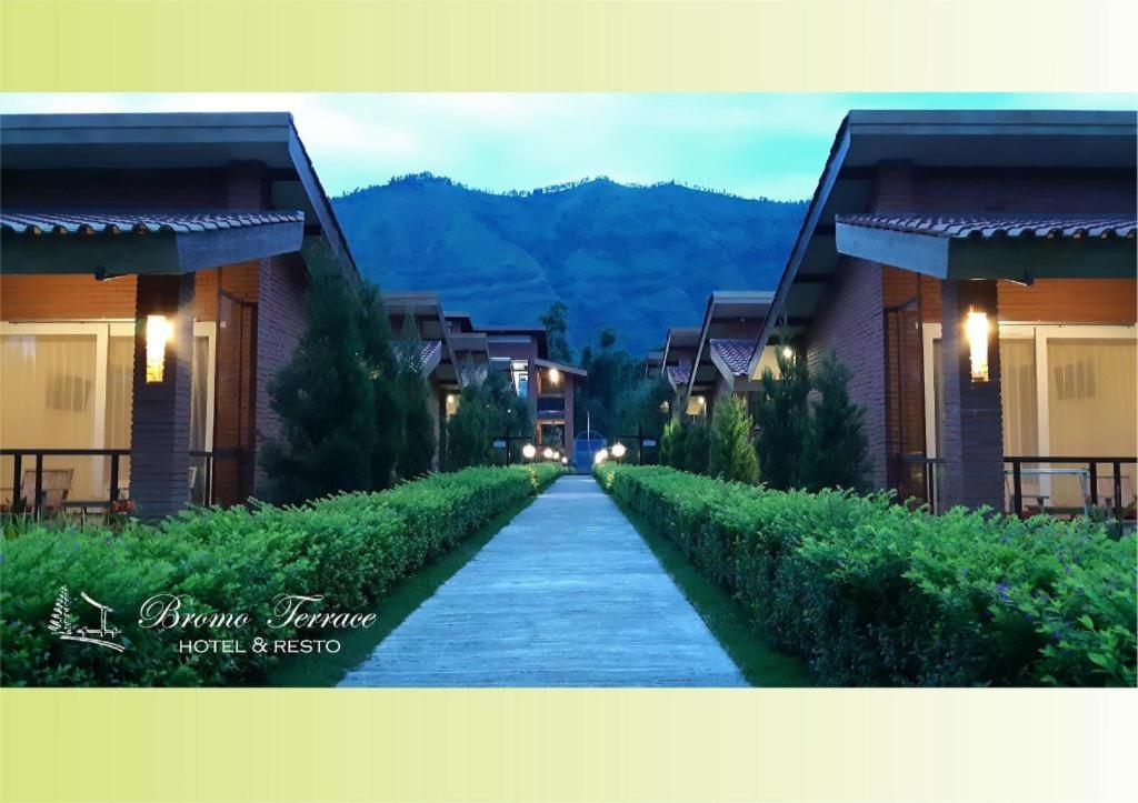 Bromo Terrace Hotel Экстерьер фото