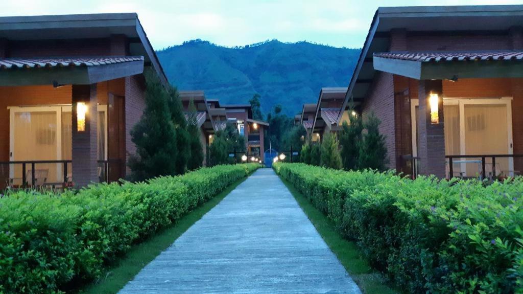 Bromo Terrace Hotel Экстерьер фото